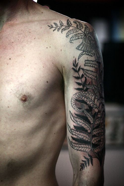 black fern tattoo on half sleeve by alice carrier black fern tattoo on half sleeve by alice carrier